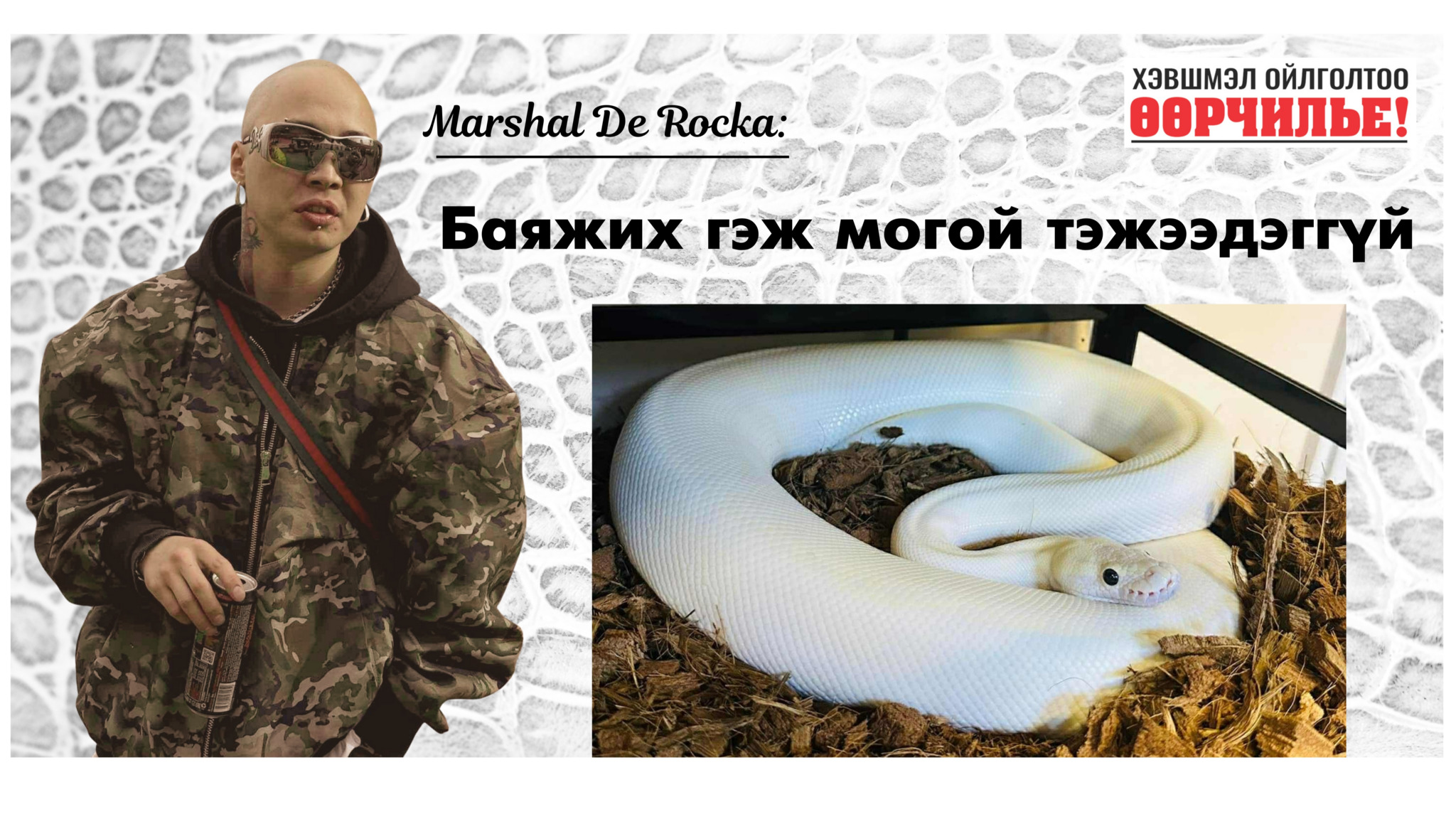 Marshal De Rocka: Баяжих гэж могой тэжээдэггүй